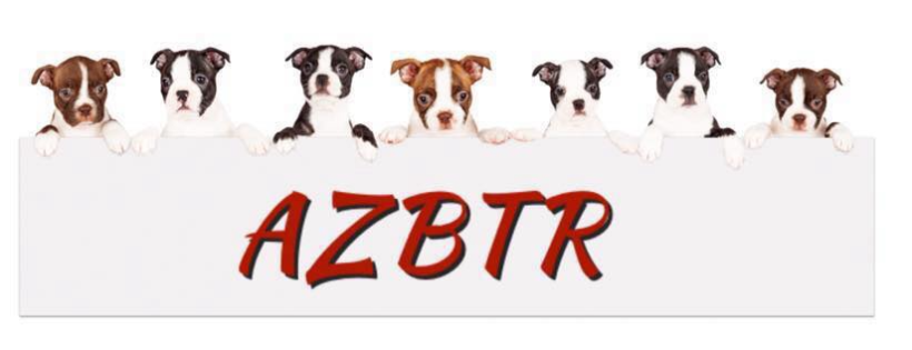 AZBT Rescue