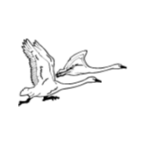 Fellow Mortals, Inc. Logo