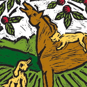 Serenity Farm Virginia Logo