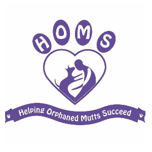 Helping Orphaned Mutts Succeed, Inc.