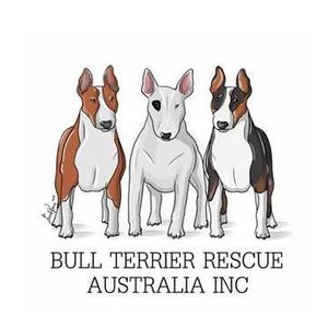 Bull Terrier Rescue Australia Logo