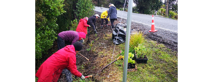 Mahurangi West Pest Inc.