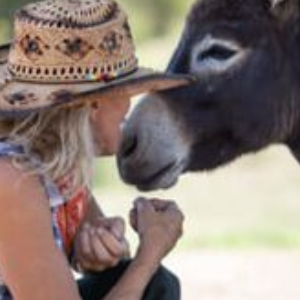 Hangry Donkey Sanctuarty Logo