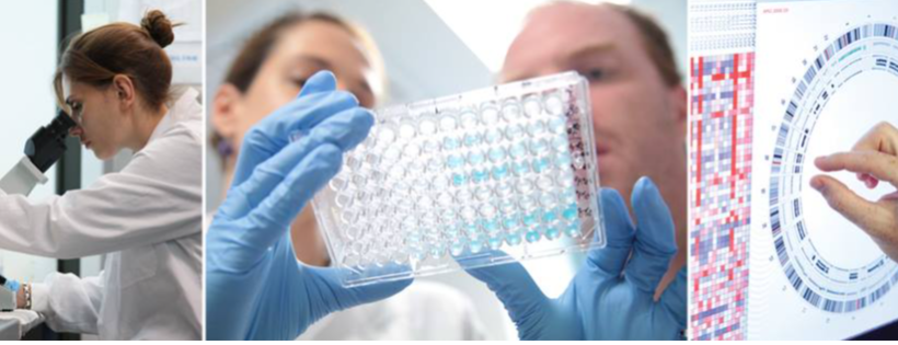 Garvan Institute of Medical Research