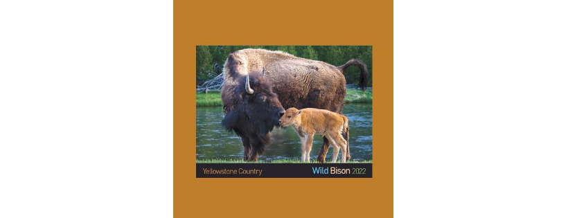 Buffalo Field Campaign