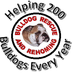 Bulldog Rescue & Rehoming UK Logo