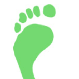 STEP International Foundation