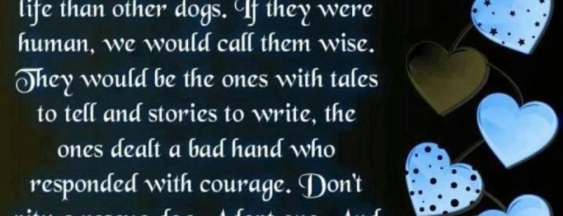 South West GSD rescue