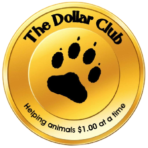 The Dollar Club Logo