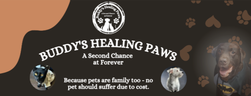 Buddy's Healing Paws