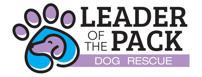 Leader Of The Pack Dog Rescue