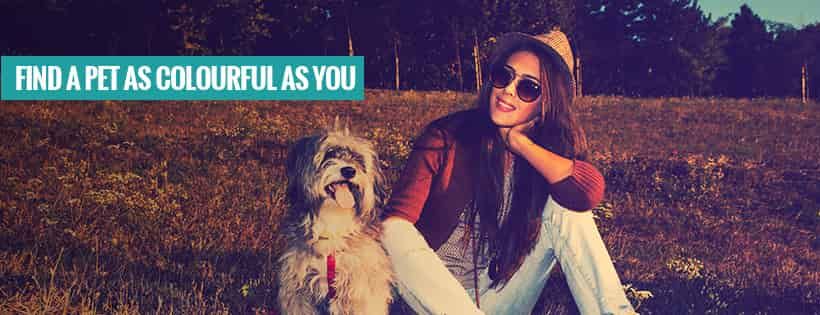 Animal Adoption Agency Sydney