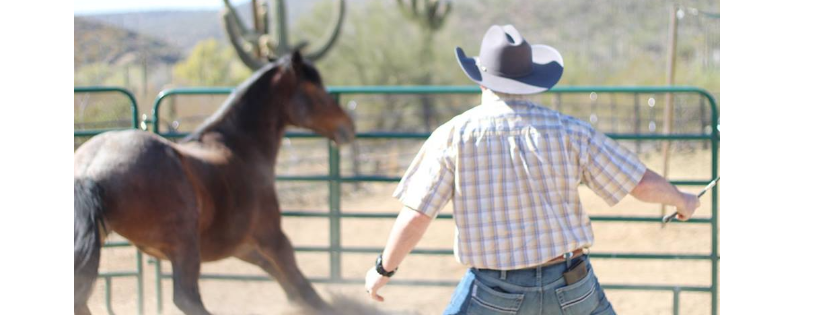 Triple R Horse Rescue