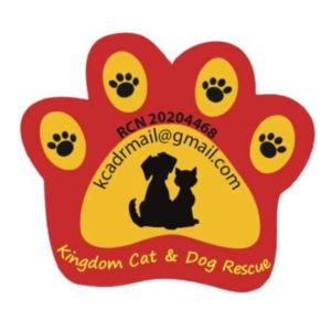 Kingdom cat and dog rescue