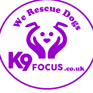 K9focus Logo
