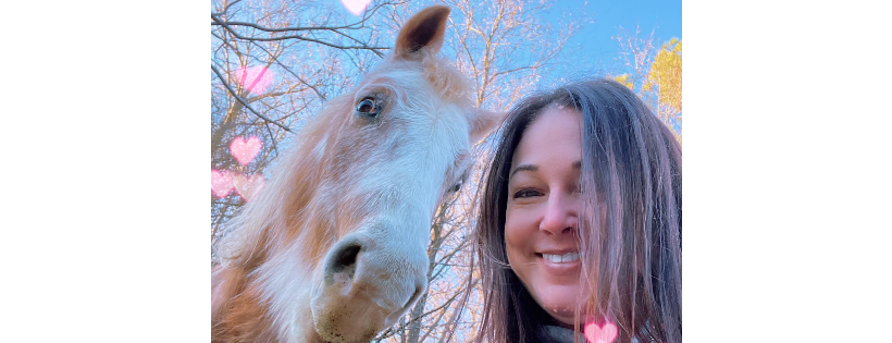 SAVE THE HORSES
