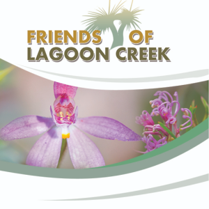 Friends of lagoon creek group
