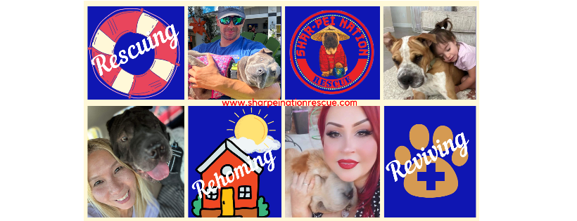 Shar Pei Nation Rescue, Inc