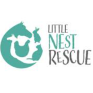 Little Nest Rescue CIC