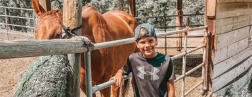 Wild Hearts Thoroughbred Adoption Society