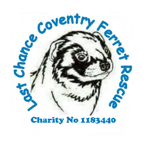 Last Chance Coventry Ferret Rescue