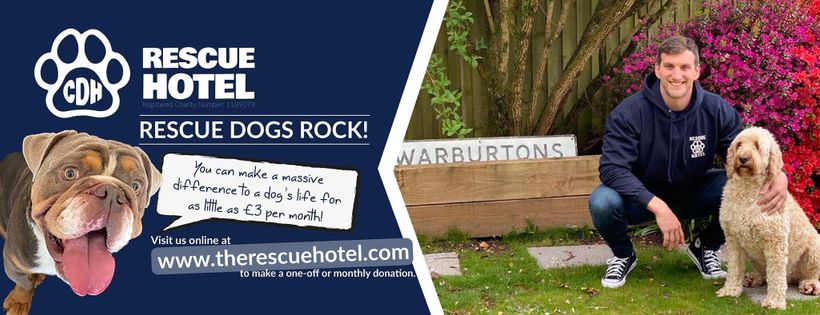 Cardiff Dogs Home, The Rescue Hotel