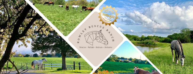 Rowley Rescue Ranch