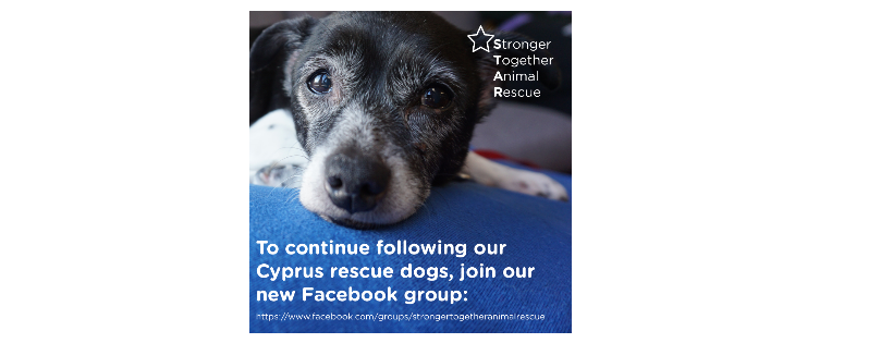 Stronger Together Animal rescue