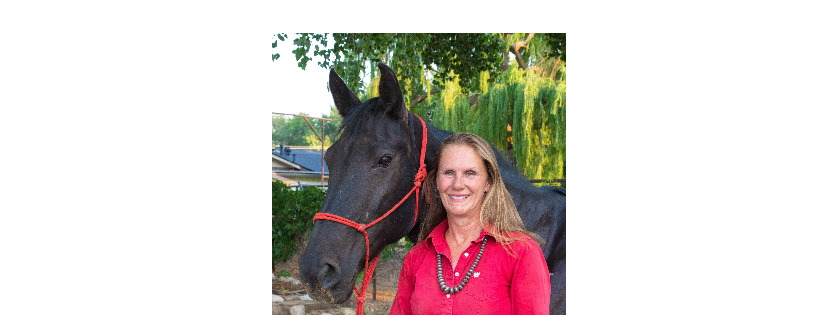Equine Therapeutic Connections