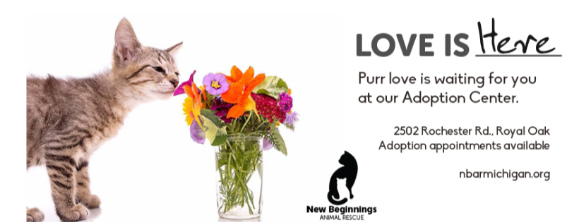 New Beginnings Animal Rescue