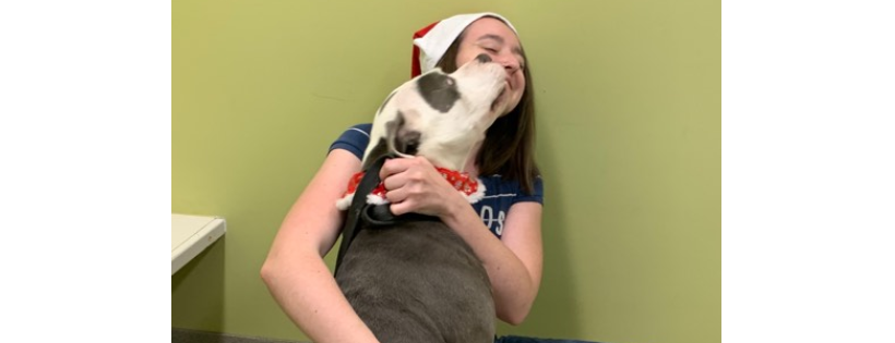 Humane Society of Dickson County