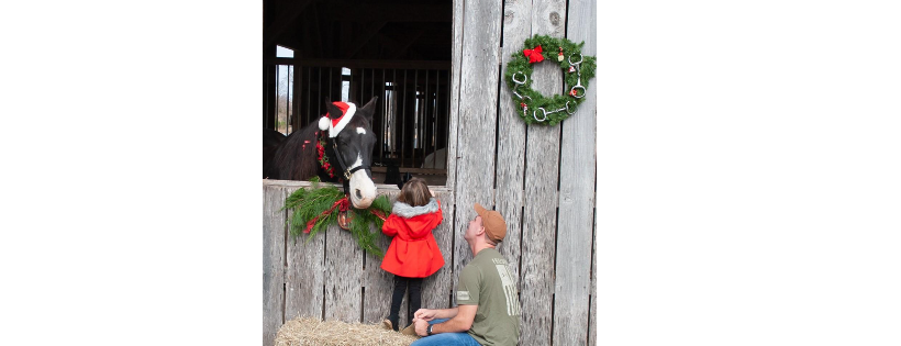 Freedom Hill Horse Rescue