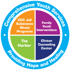 Comprehensive Youth Services, Inc.