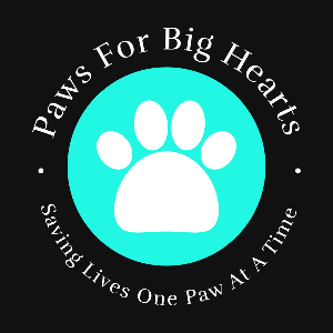 Paws For Big Hearts Rescue