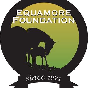 Equamore Foundation
