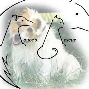 Royce's Rescue Logo