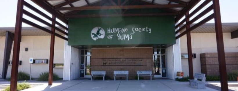Humane Society of Yuma