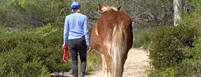Rancho Burro Donkey Sanctuary