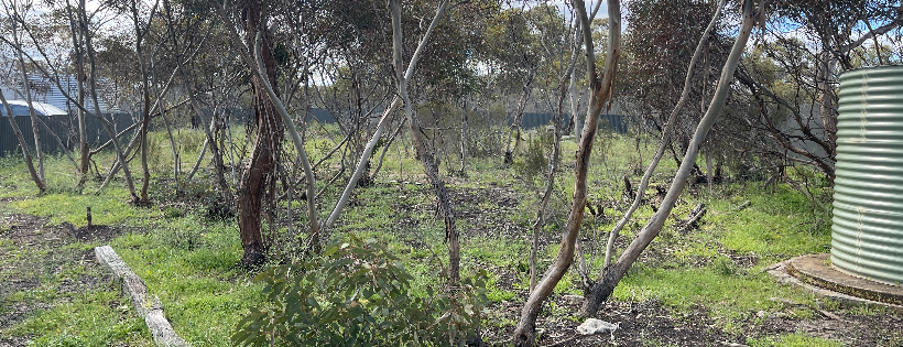 Pouchie.z Kangaroo Sanctuary