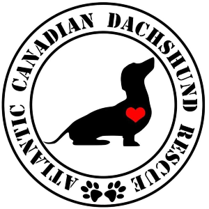 Atlantic Canadian Dachshund Rescue Society Logo
