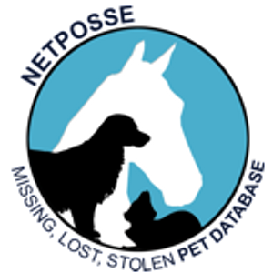 Stolen Horse International Logo