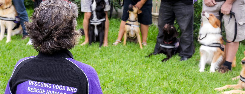 PTSD Dogs Australia Ltd