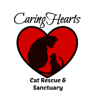 Caring Hearts Cat Rescue