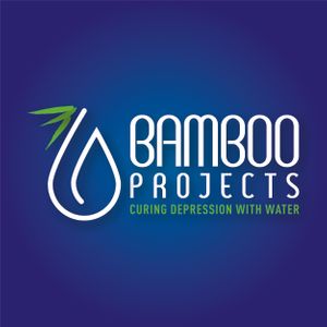 Bamboo Projects Education Ltd. Logo