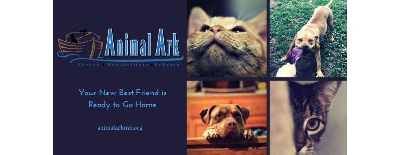 Animal Ark