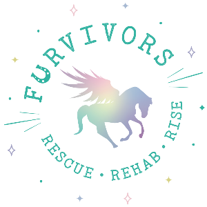 Furvivors Wonderland Horse Rescue & Animal Sanctuary