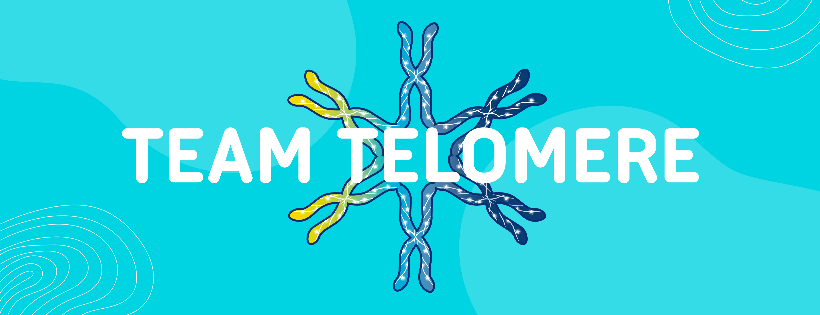 Team Telomere, Inc.