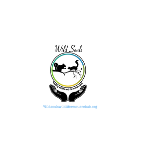 Wild Souls Wildlife Rehabilitation Logo