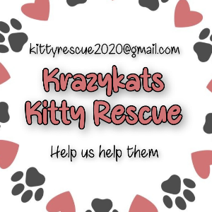 Krazykats Kitty Rescue Logo