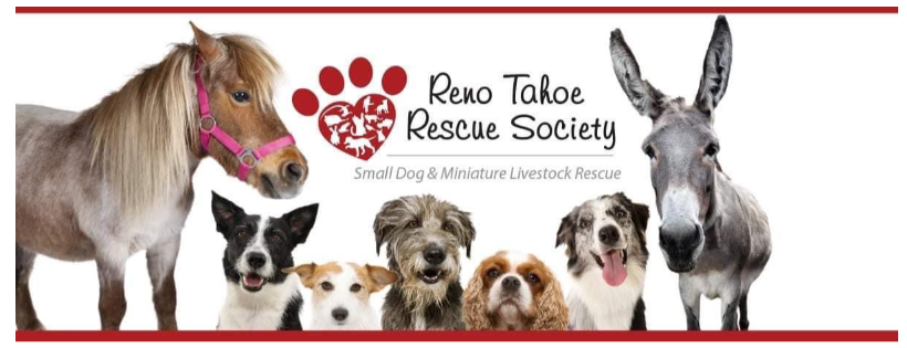 Reno Tahoe Rescue Society